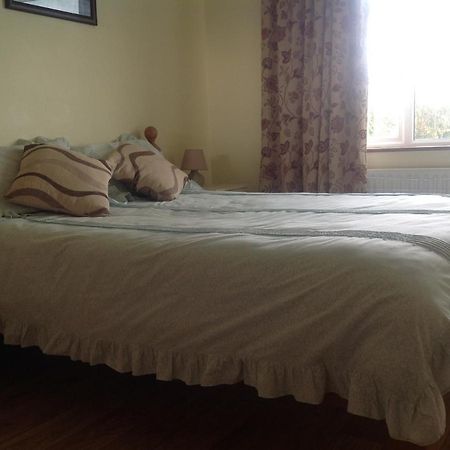 The Rock Equestrian Farm B&B Bailieborough Eksteriør billede