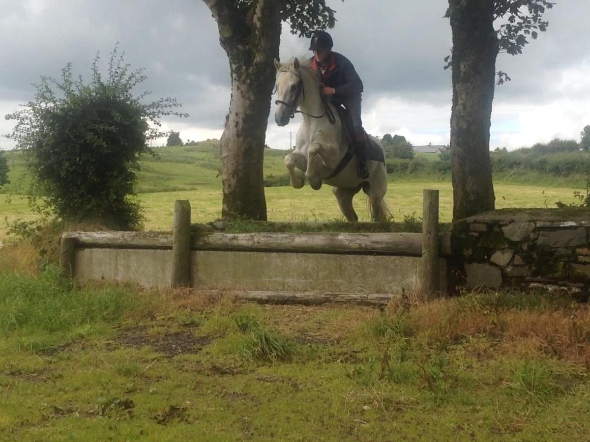 The Rock Equestrian Farm B&B Bailieborough Eksteriør billede