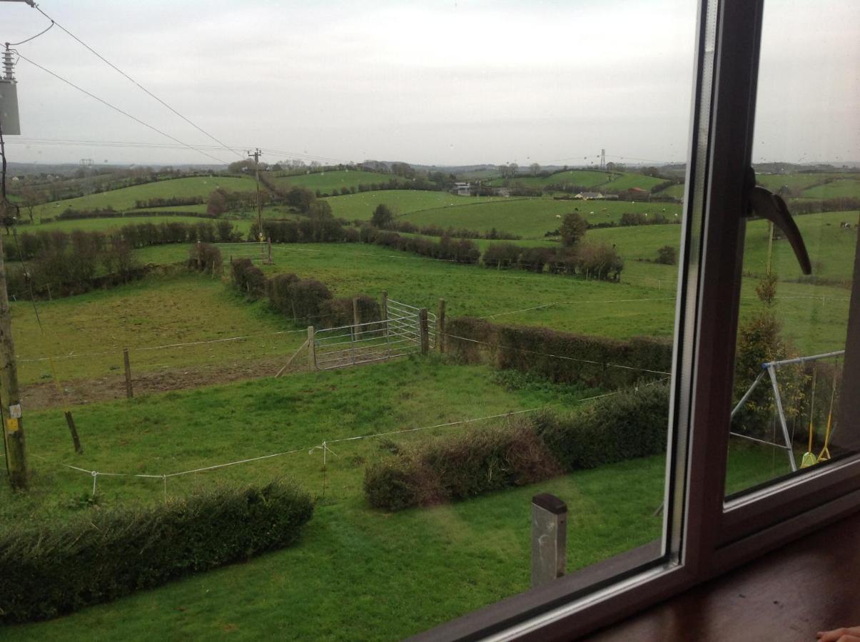 The Rock Equestrian Farm B&B Bailieborough Eksteriør billede
